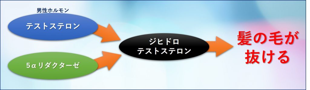 AGAの原理を説明