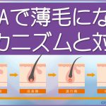 AGAで薄毛になるメカニズム