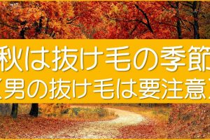 秋は抜け毛の季節