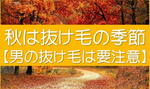 秋は抜け毛の季節