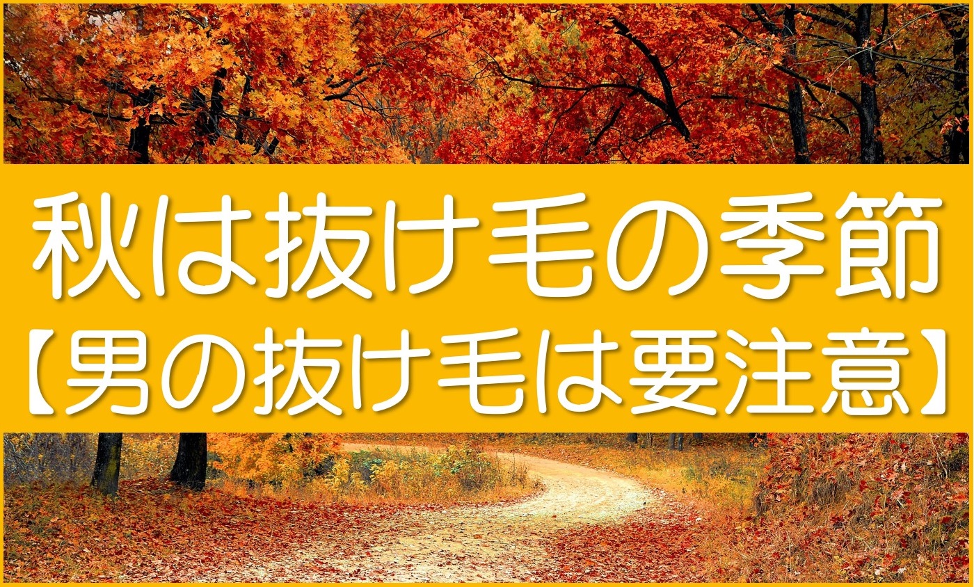 秋は抜け毛の季節