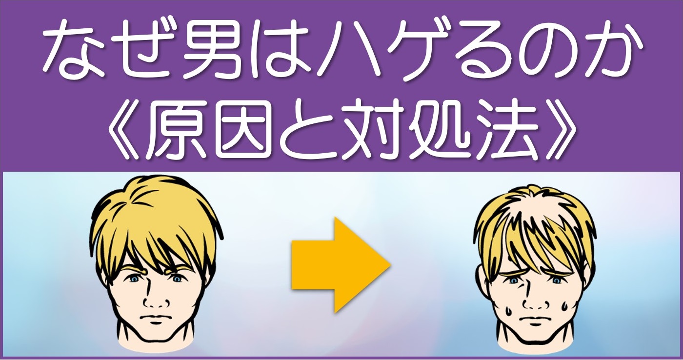 なぜハゲるのか 男が禿げるメカニズムと治療法を徹底解説 若ハゲ彼氏のaga治療