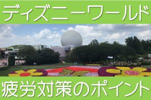 WDWの疲労対策について
