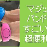 マジックバンドがすごい!ディズニーワールド