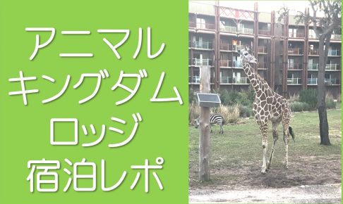 アニマルキングダムロッジレポ