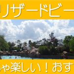 ブリザードビーチが最高