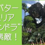 アバターエリアパンドラが素敵