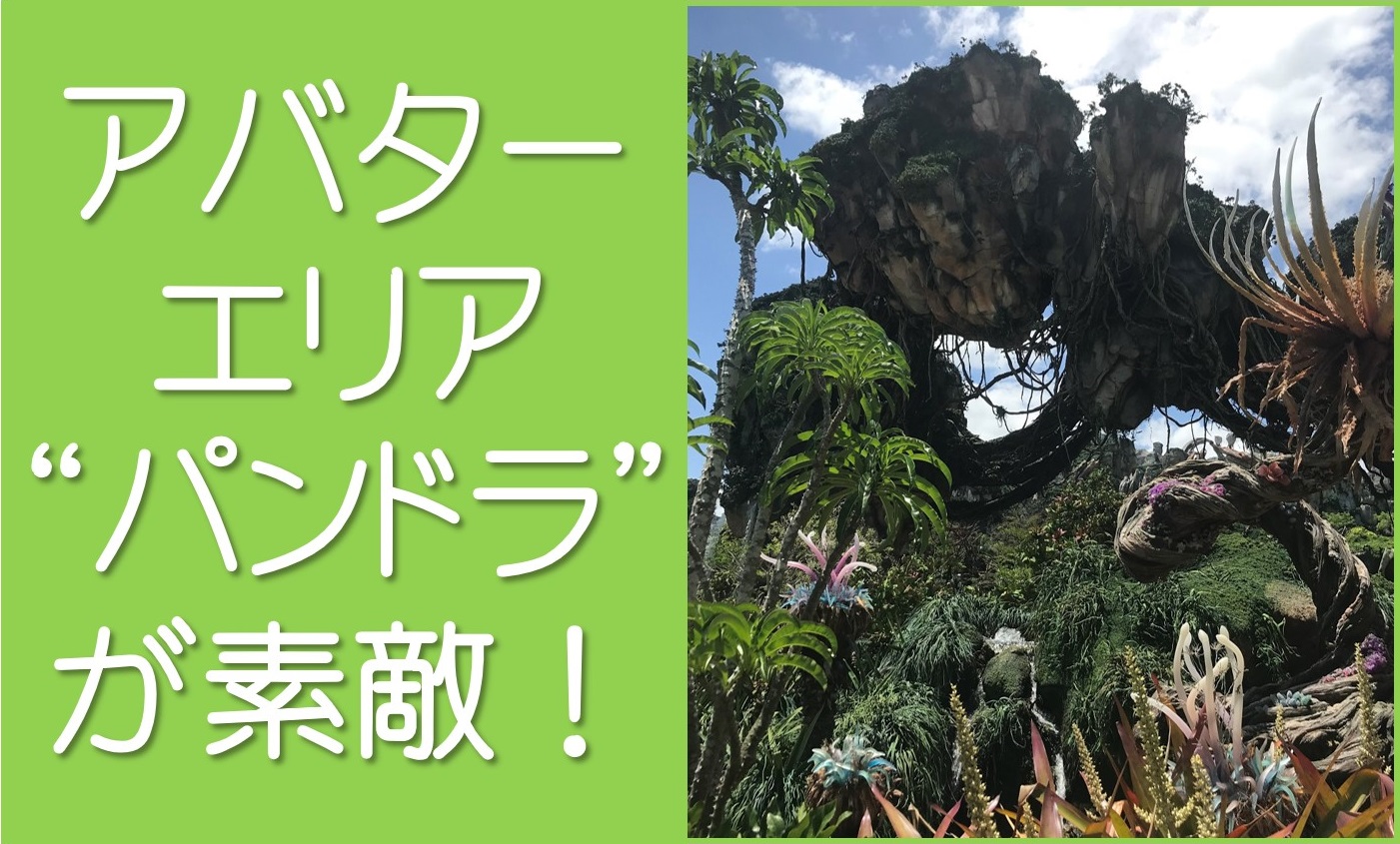 アバターエリアパンドラが素敵