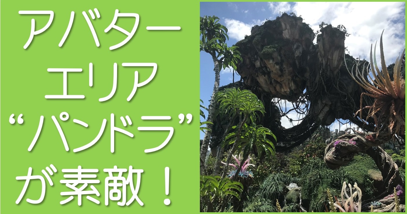 アバターエリア