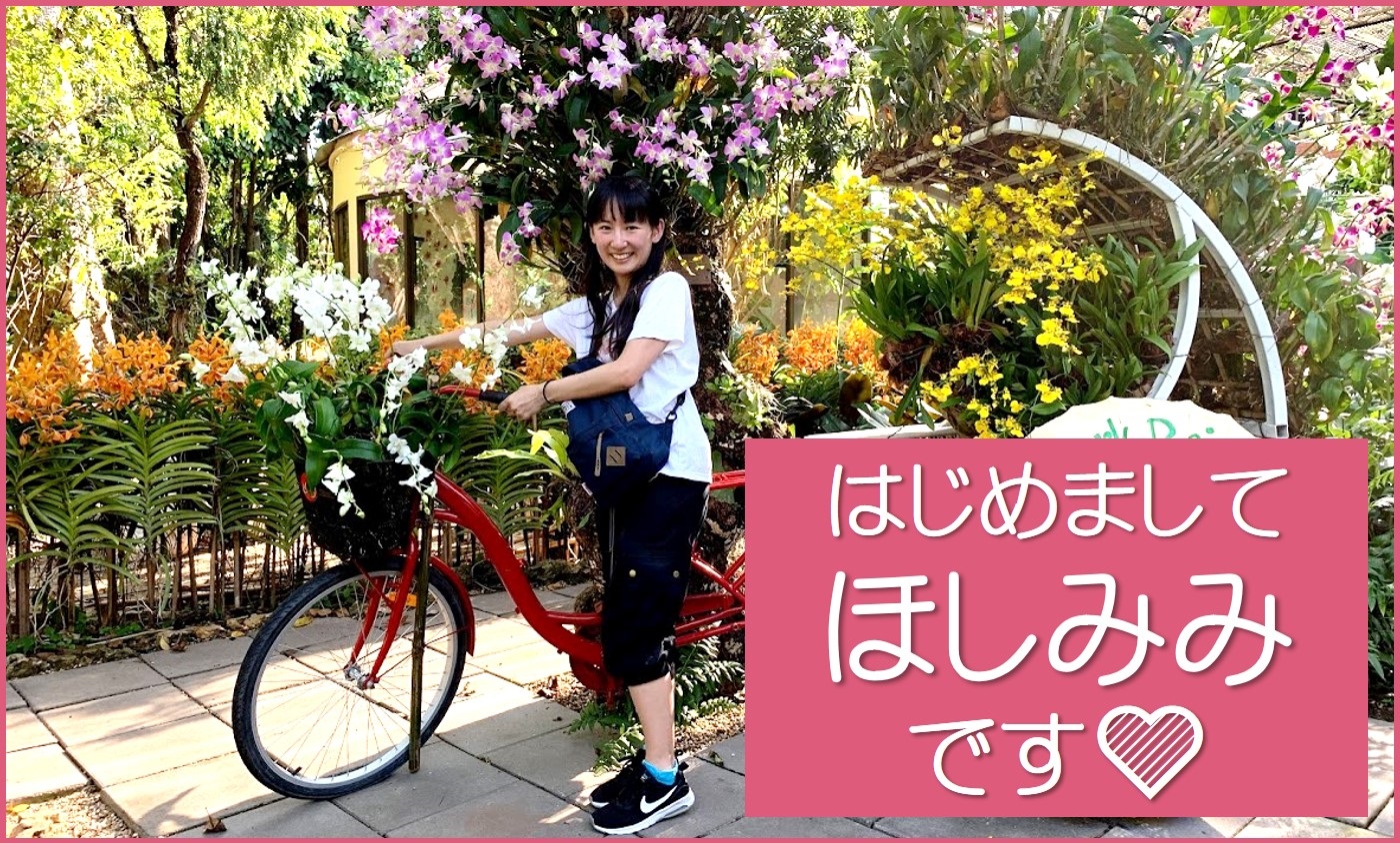 ほしみみ自己紹介