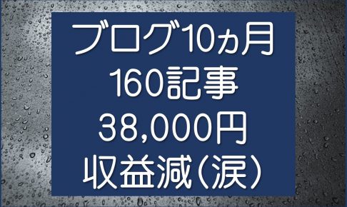 収益報告10か月目