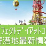パーフェクトデイアットココケイ