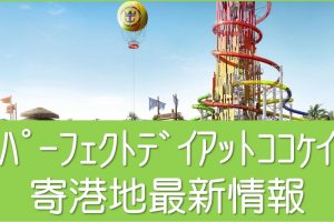 パーフェクトデイアットココケイ