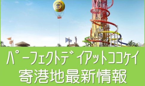 パーフェクトデイアットココケイ
