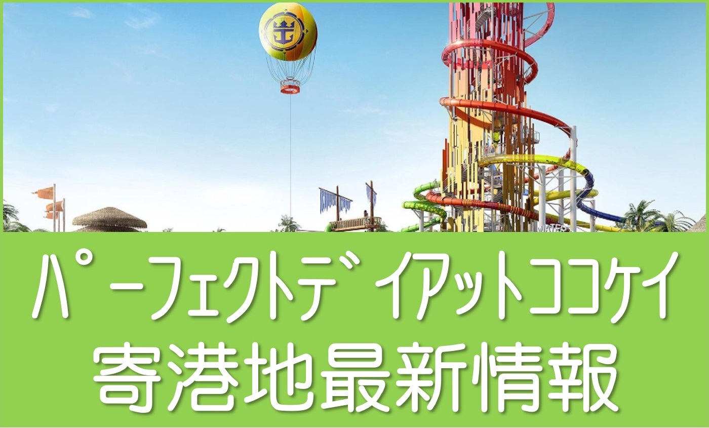 パーフェクトデイアットココケイ