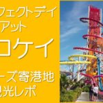 パーフェクトデイアットココケイ