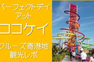 パーフェクトデイアットココケイ