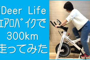 Ideerlifeフィットネスバイク購入