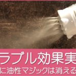 ミラブル効果実験