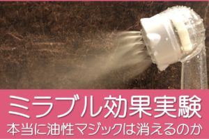 ミラブル効果実験